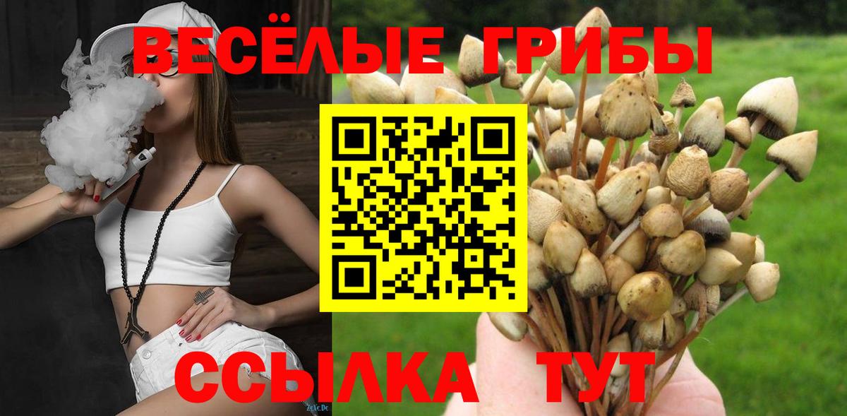 Галлюциногенные грибы Cubensis Ступино